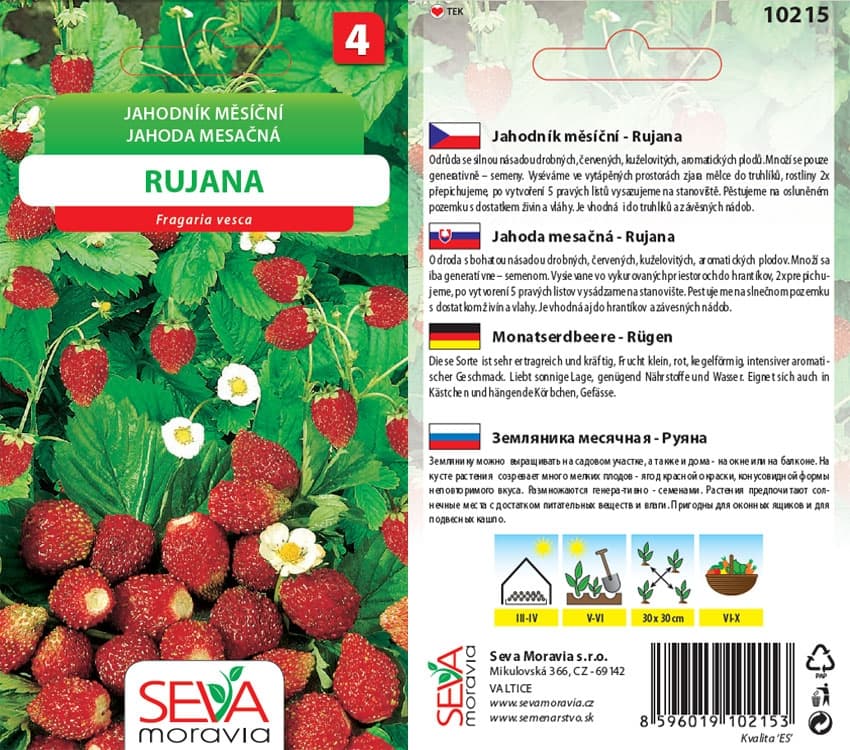 10215 Jahodník Rujana 0,2g / 1205