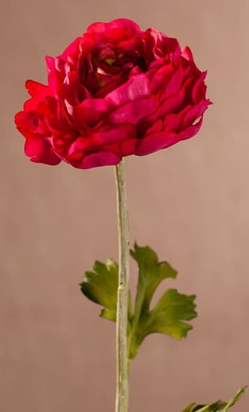 New Ranunkulus (Pryskyřník) 51 cm beauty F409-R