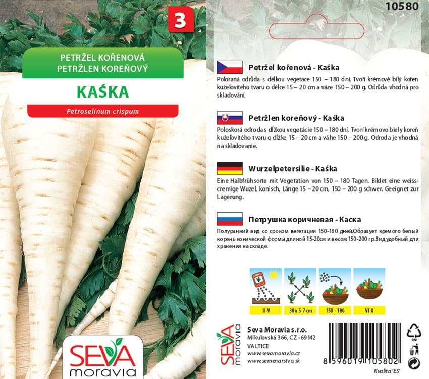 10580 Petržel kořenová Kaska 3g / 2311