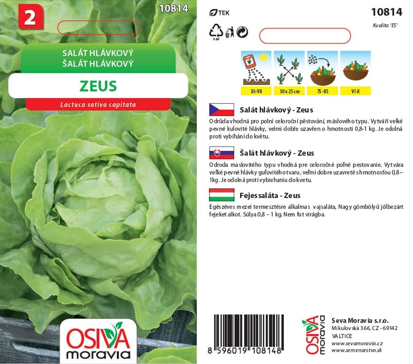 10814 Salát hlávkový letní Zeus 0,3g / 3106
