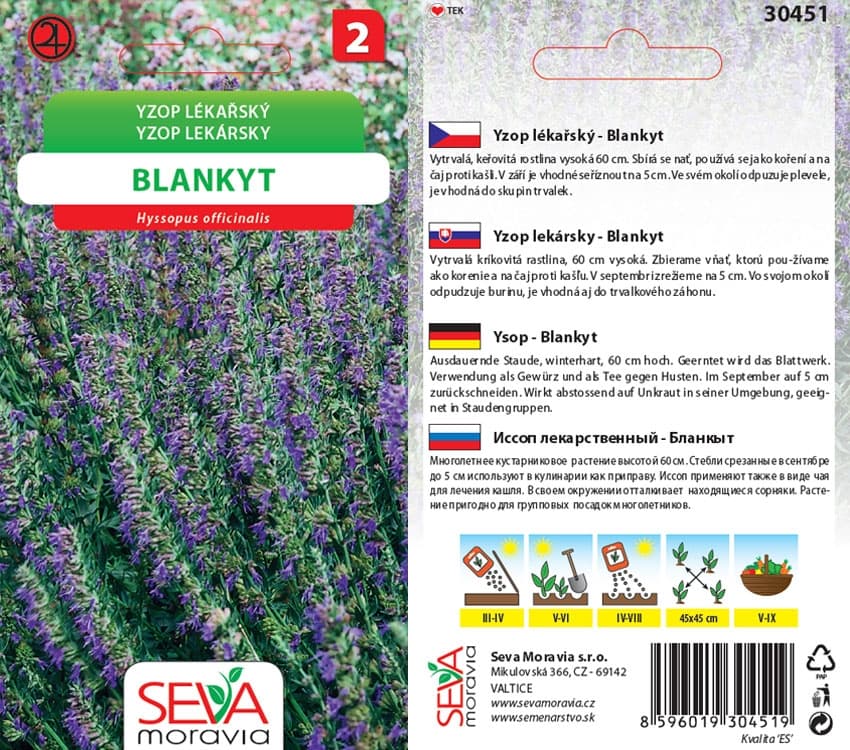 30451 Yzop lékařský 0,2g / 3709
