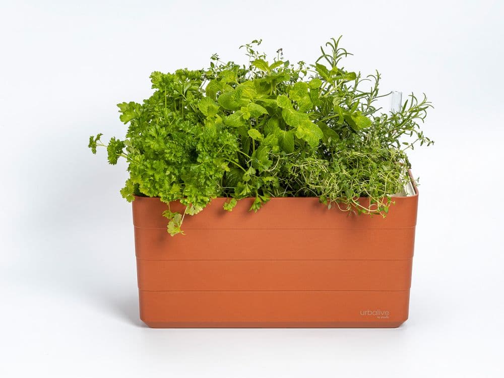 Truhlík Berberis 40 cm Terakota + Slonová kost - náhled 2