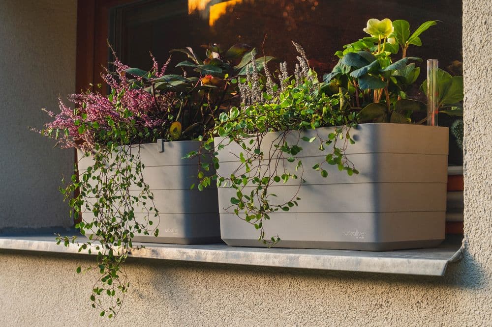 Truhlík Berberis 40 cm Taupe + Slonová kost - náhled 3
