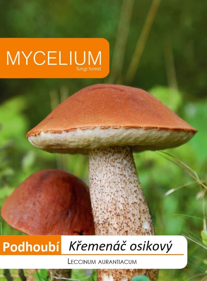 Křemenáč osikový 10g - podhoubí