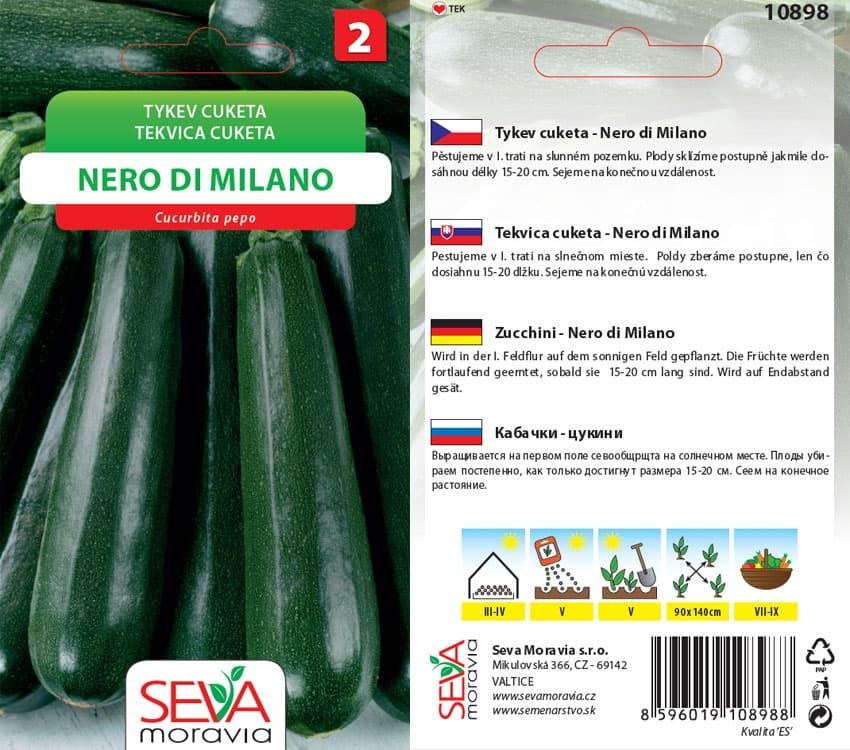 10898 Tykev cuketa Nero di Milano 10s / 3304