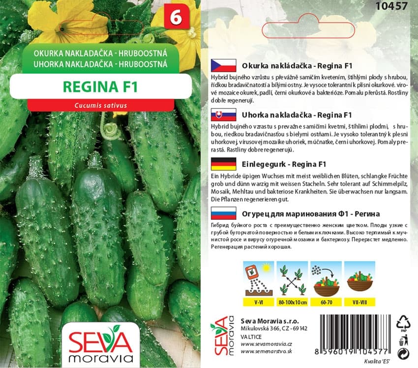 10457 Okurky F1 Regina 1g / 1710