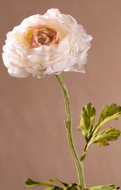 New Ranunkulus (Pryskyřník) 51 cm bílý F409-W