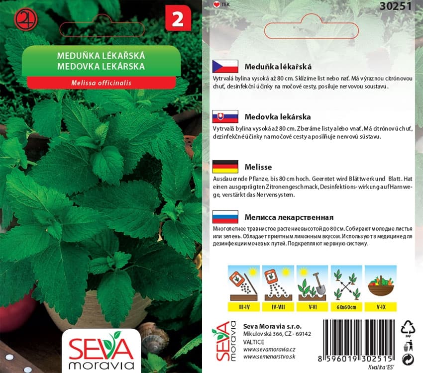 30251 Meduňka lékařská Citra 0,3g / 3606