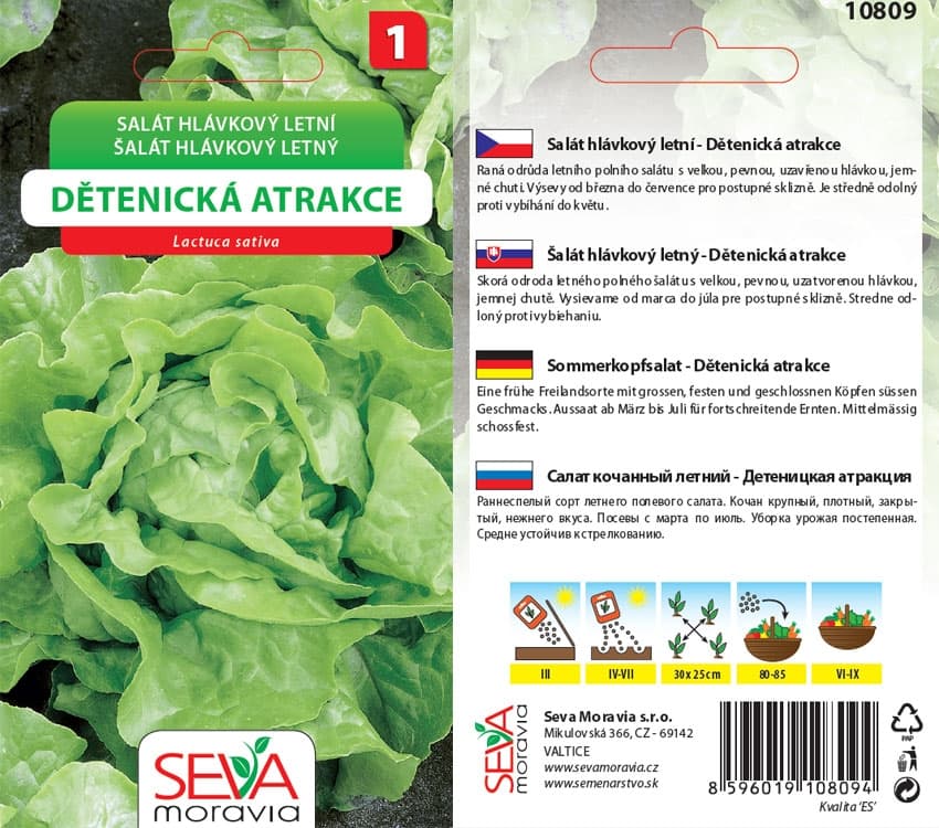 10809 Salát Dětenická atrakce 0,5g / 3104