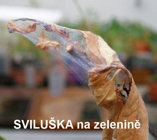 Natura Symfonie 3 v 1 500ml - náhled 2