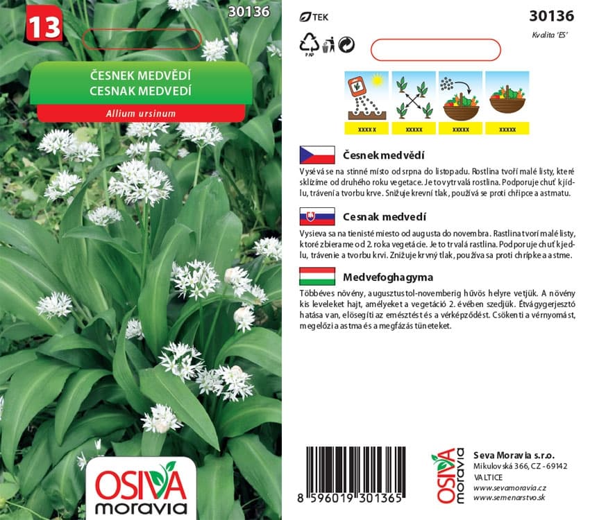 30136 Česnek medvědí 0,5g / 3505
