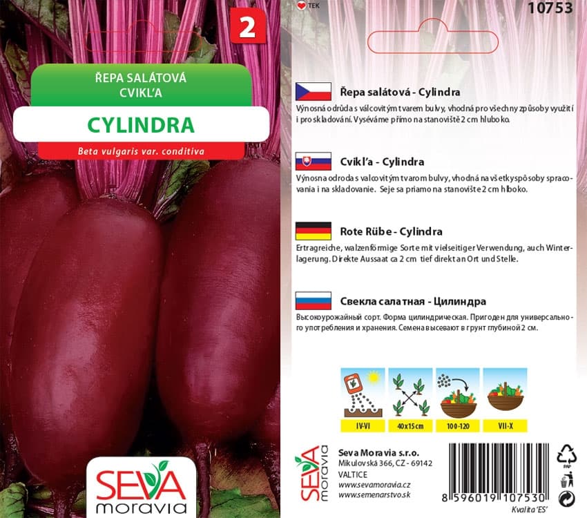 10753 Řepa salátová Cylindra 4g / 2902