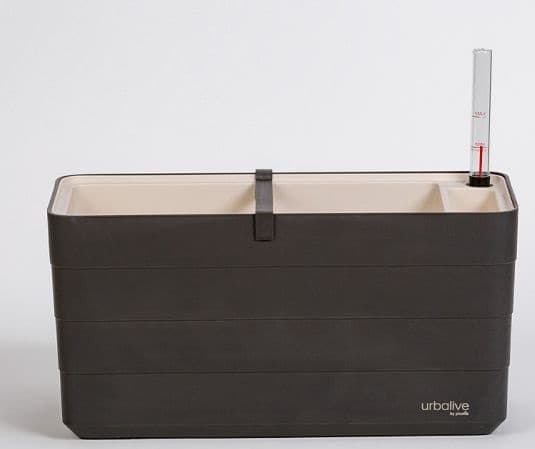 Truhlík Berberis 40 cm Antracit + slonová kost