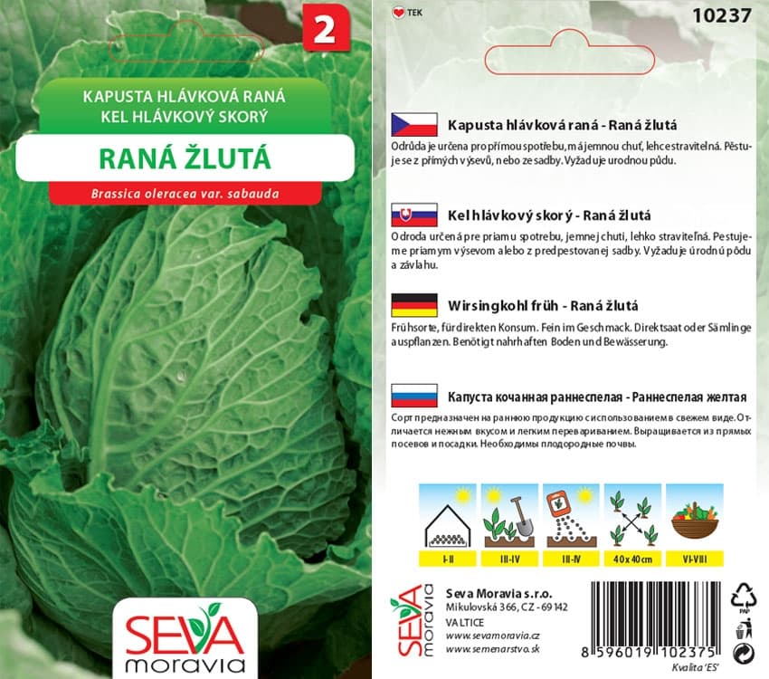 10237 Kapusta Raná žlutá 0,5g / 1209
