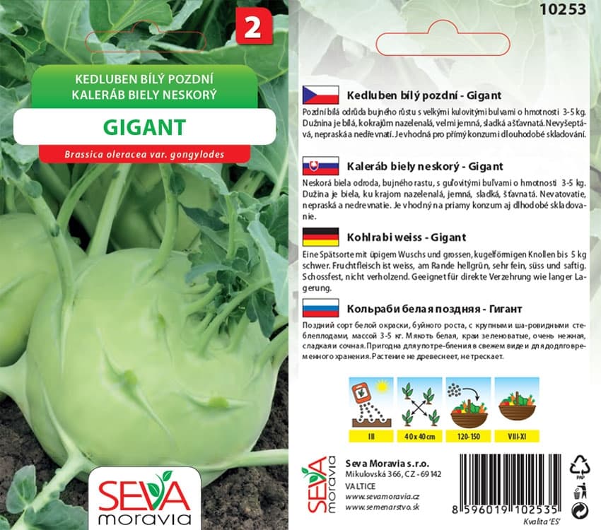 10253 Kedluben Gigant 0,8g / 1304