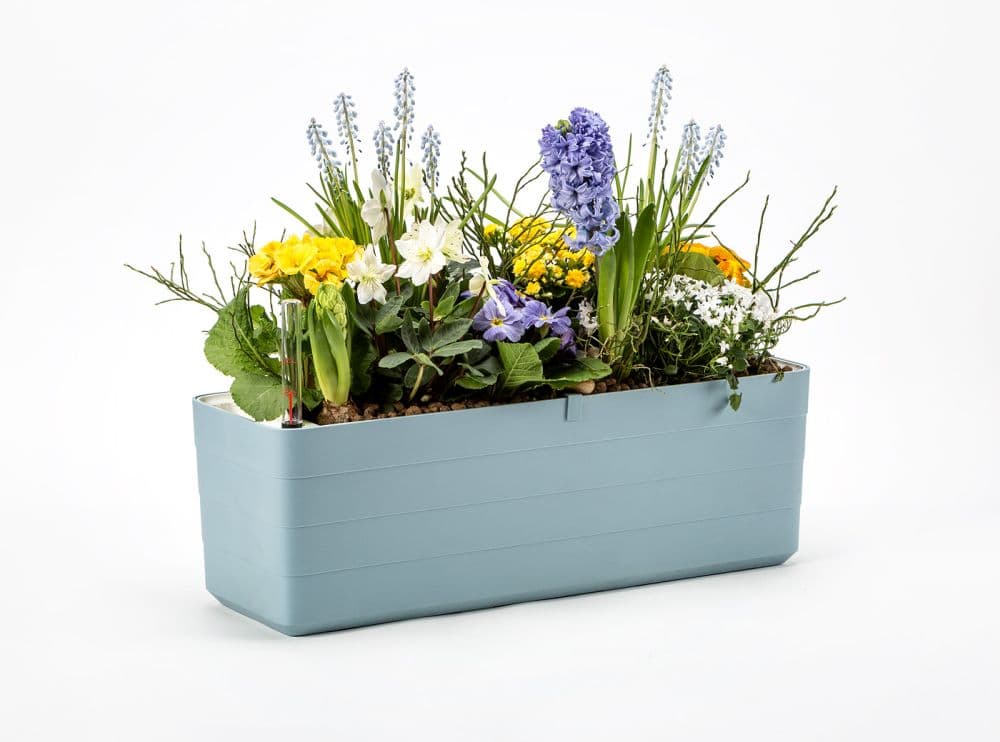 Truhlík Berberis 40 cm Šedomodrá + bílá - náhled 3