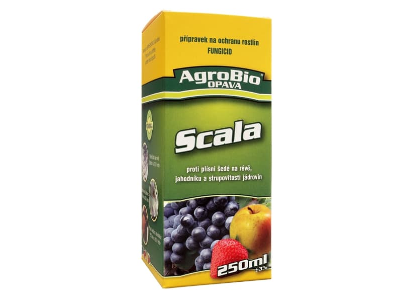 Scala 250ml