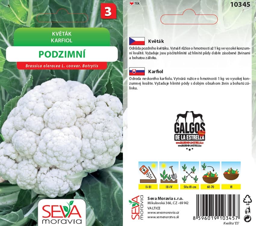 10345 Květák podzimní 0,4g / 1409