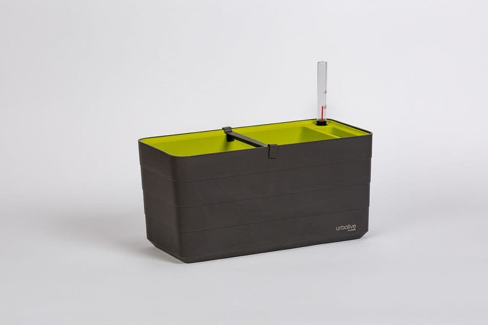Truhlík Berberis 40 cm Antracit + zelená - náhled 3