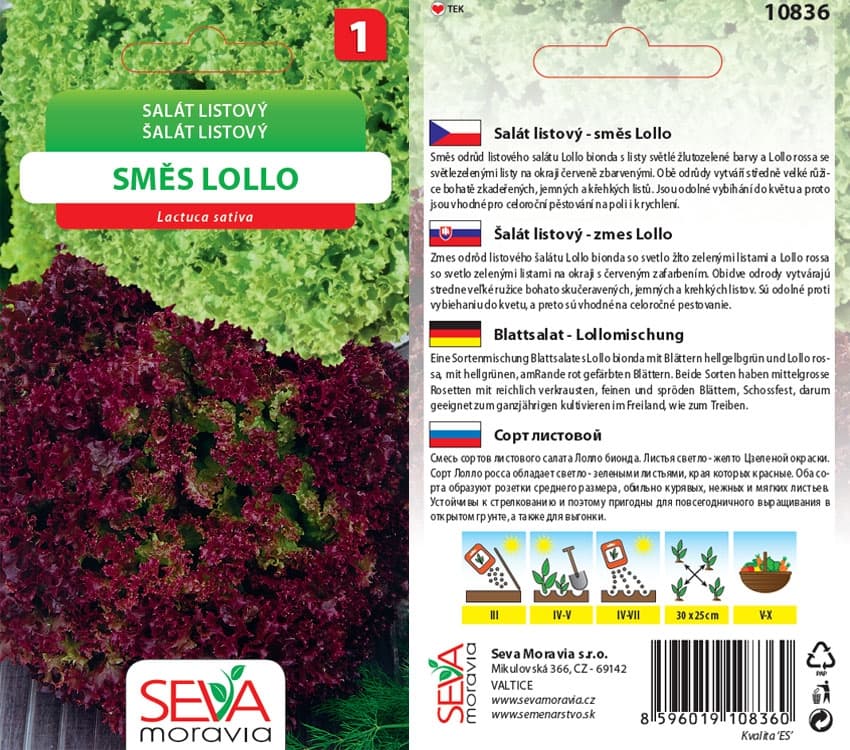 10836 Salát Lollo směs 0,5g / 3201