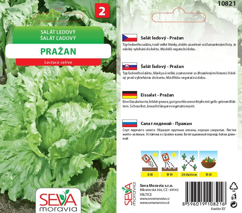 10821 Salát Pražan 0,3g / 3110
